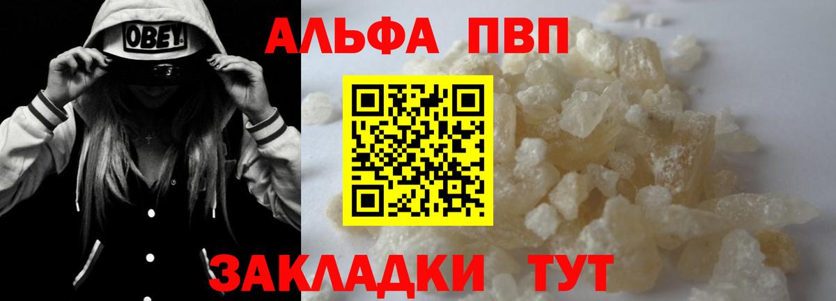 Альфа ПВП СК Балашов