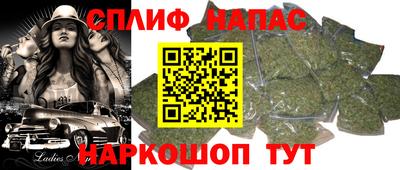 сатива Моздок