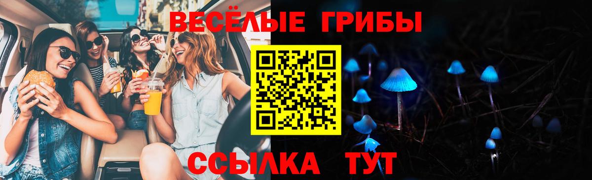 Галлюциногенные грибы прущие грибы  Вход с VPN  Псилоцибиновые грибы прущие грибы  Балашов 